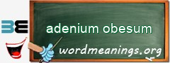 WordMeaning blackboard for adenium obesum